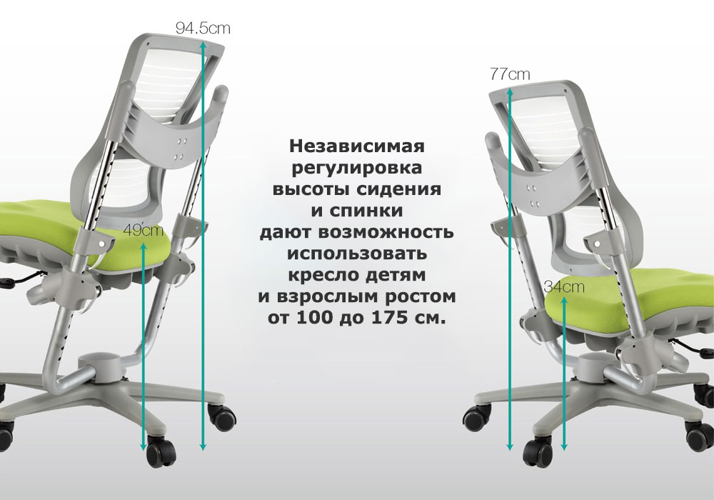 Высота спинки кресла по росту